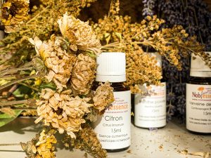 Aromathérapie scientifique – Cohorte 2024/2025 – Module 8