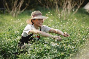 Fabrication de produits pour le jardin et les jardiniers
