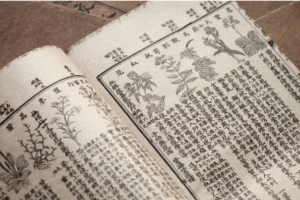 Médecine Traditionnelle Chinoise – Cohorte 2024-2025 – Module 4