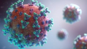 6 huiles essentielles pour le système immunitaire